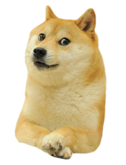 Doge